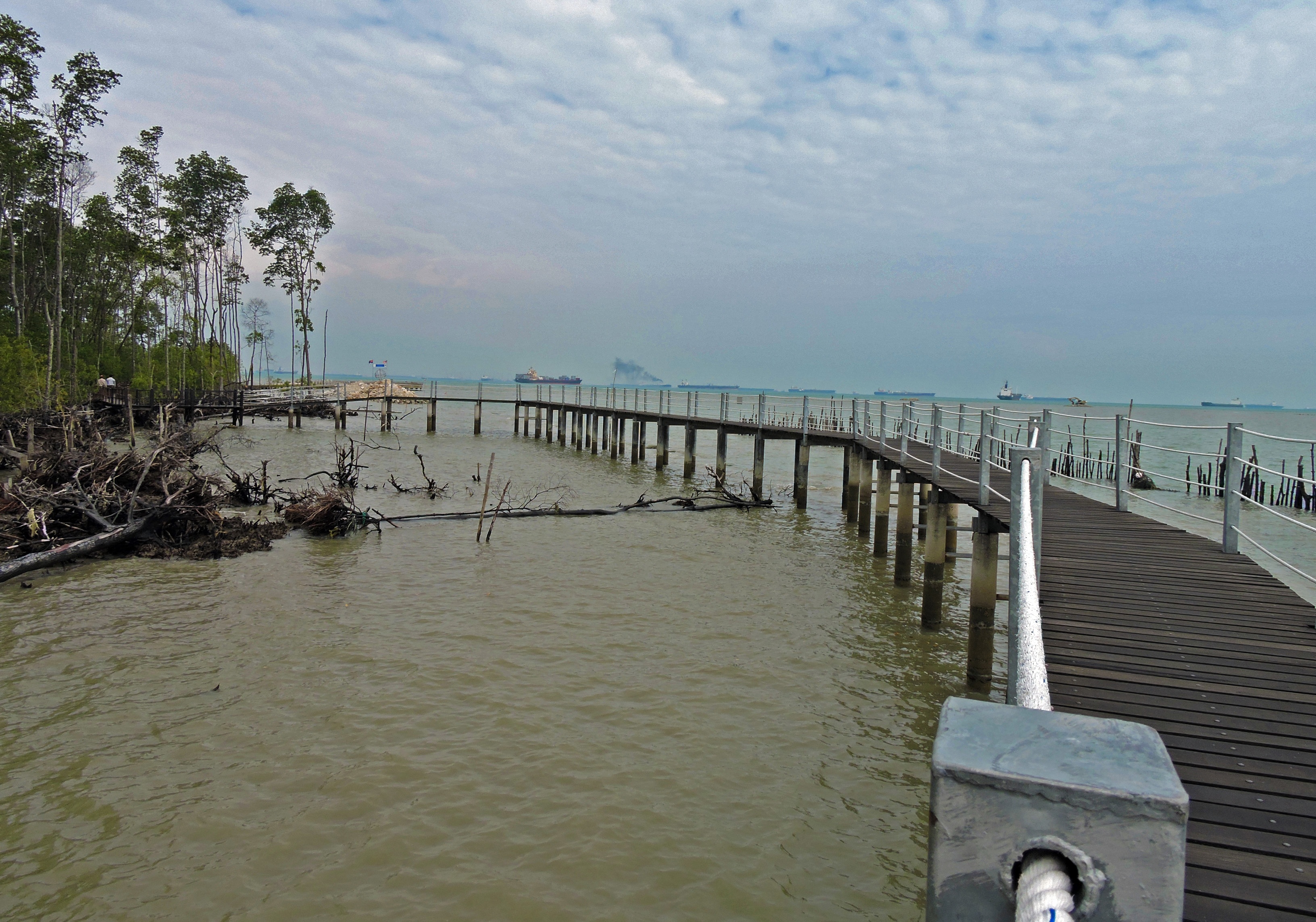 Sau ít phút đi bộ theo con đường đã có dấu hiệu gẫy đổ do sự xâm thực của nước biển, mũi Piai đã hiện ra thấp thoáng phía xa.