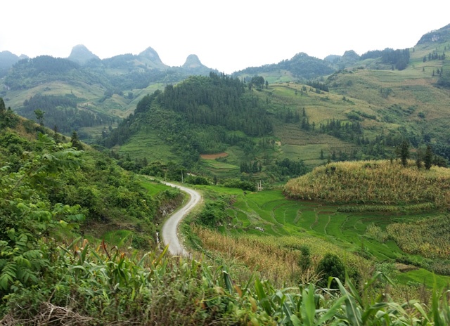 Được sự tư vấn của anh bạn, chúng tôi quyết định