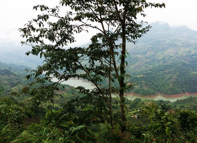 Dọc theo quốc lộ 70 từ thành phố Lào Cai đi đến khu vực bản Phiệt, chúng tôi men theo dòng sông Nậm Thi hiền hòa. Đi khoảng 16km thì rẽ trái vào quốc lộ 4D đi Mường Khương. Đường đang được nâng cấp, cải tạo nên khá xấu, tuy nhiên, được phóng xe máy trên những cung đường đèo, dốc, quanh co lưng chừng của những dãy núi cao sừng sững, để khám phá sự hùng vĩ của núi non là một trải nghiệm không bao giờ quên đối với chúng tôi.