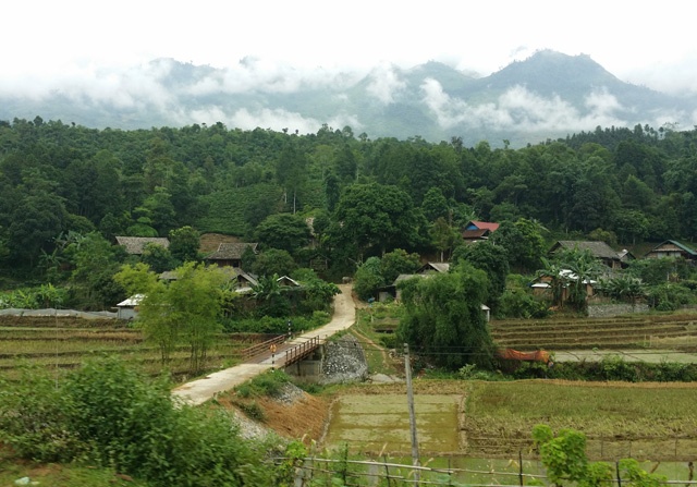 Trên sườn núi cao, ngoài những thảm ngô vàng rực đang vào mùa thu hoạch là những khu vực trồng dứa và trồng chè của người Mông, người Dáy trải dài hai bên đường tạo nên một bức tranh tuyệt đẹp nơi vùng cao Tây Bắc. Dứa và chè là hai loại cây nông sản vừa mới được đưa vào trồng tại khu vực huyện Mường Khương nhưng đã nhanh chóng tạo nên thương hiệu nổi tiếng cho vùng đất này.