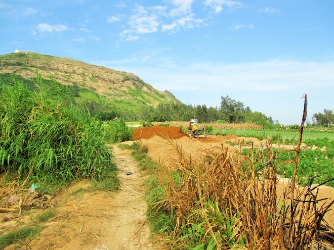 Một trong những yếu tố góp phần tạo nên nét đẹp hết sức tự nhiên của Lý Sơn đó chính là con người nơi đây với những hoạt động rất đời thường. 
