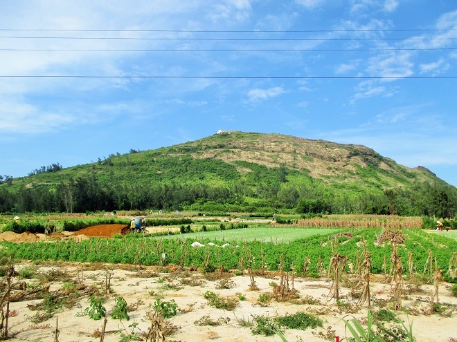Những mảnh đất trồng ngô, trồng tỏi, trồng dưa hấu Hắc Mỹ Nhân,... được quy hoạch khá tốt và đồng thời cũng tạo nên một khung cảnh hài hòa cho vùng quê miền biển này. 