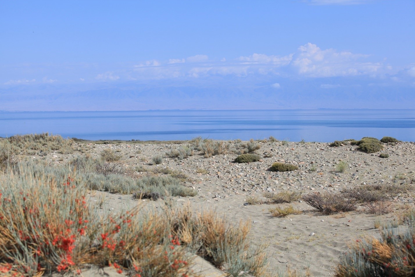 Issky-kul có nghĩa là “hồ nước nóng”. Dù nằm giữa những đỉnh núi tuyết vĩnh cửu ở đông bắc Kyrgyzstan, hồ không bao giờ đóng băng.