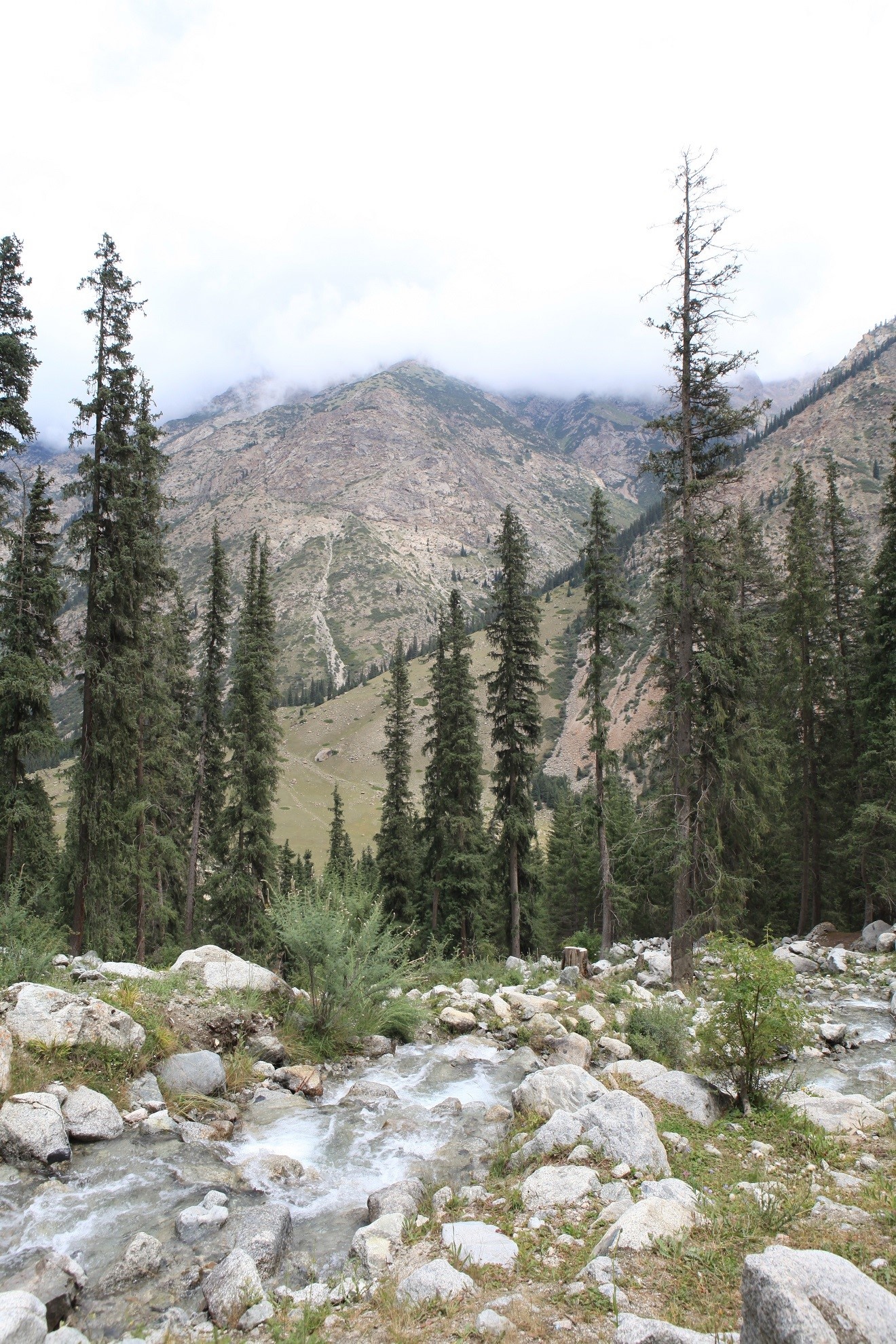 Lượng nước của hồ do 118 con sông và suối đổ vào lớn nhất là sông Djyrgalan và Tyup xuất phát từ những đỉnh núi tuyết và hệ thống các suối nước nóng trong khu vực.