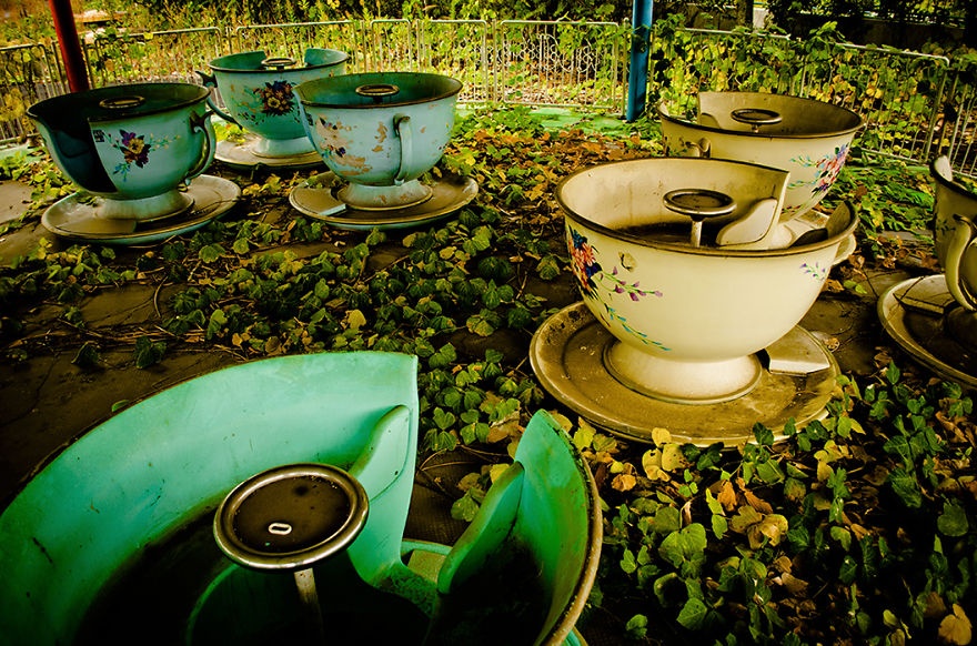 Rêu cỏ mọc ở khắp mọi nơi...