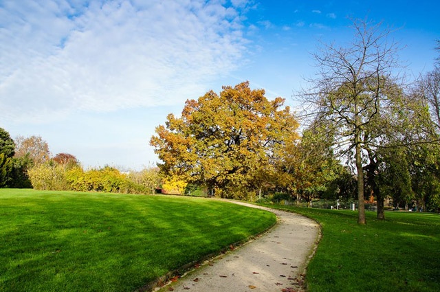 Cham vao mua thu Paris hinh anh