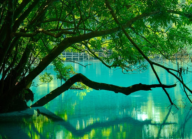 Nhung diem du lich sinh thai o Lao hinh anh