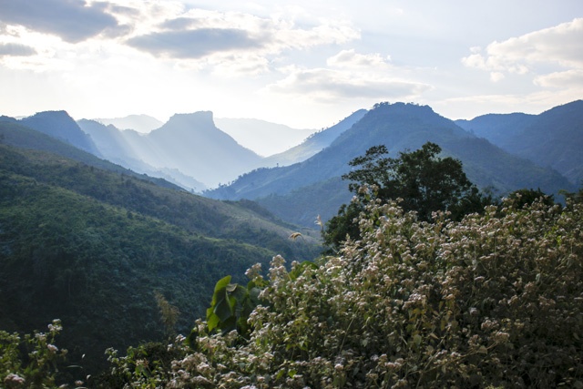 Khu bảo tồn sinh học quốc gia Nam Et Phou Louey: Nằm ở phía Đông Bắc, Nam Et Phou Louey đang bảo tồn nhiều động vật quý hiếm như hổ, hươu Sambar, vượn đen má trắng, bò rừng… Đến Nam Nern Night Safari nằm trong khu bảo tồn, bạn có thể tham gia nhiều hoạt động hấp dẫn như ngắm chim, tìm hiểu cuộc sống hoang dã của động vật về đêm, khám phá các loại cây thuốc quý và đi bộ đường dài.
