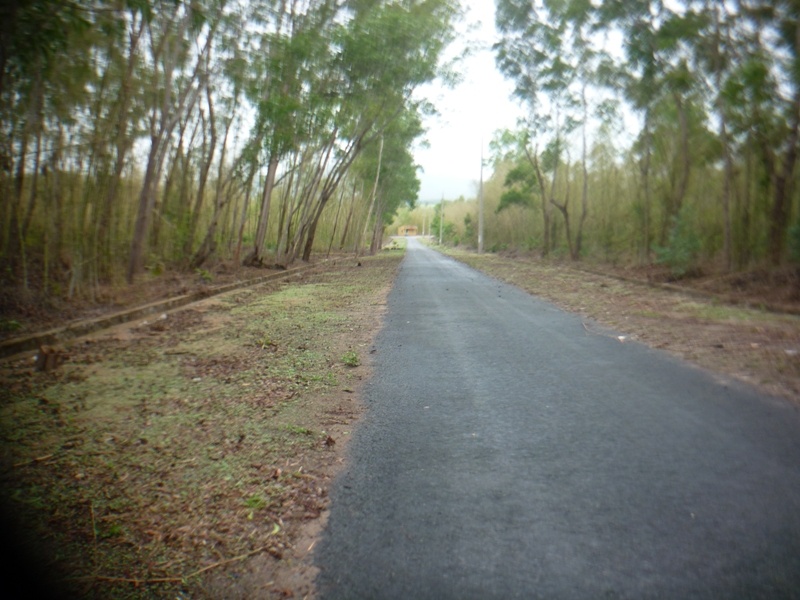 4/ Núi Ngọa Long Sơn. (núi Dài lớn). Núi có độ cao =+580m.  Dài L= 8.000m Là ngọn núi dài nhất trong dãy Thất Sơn.