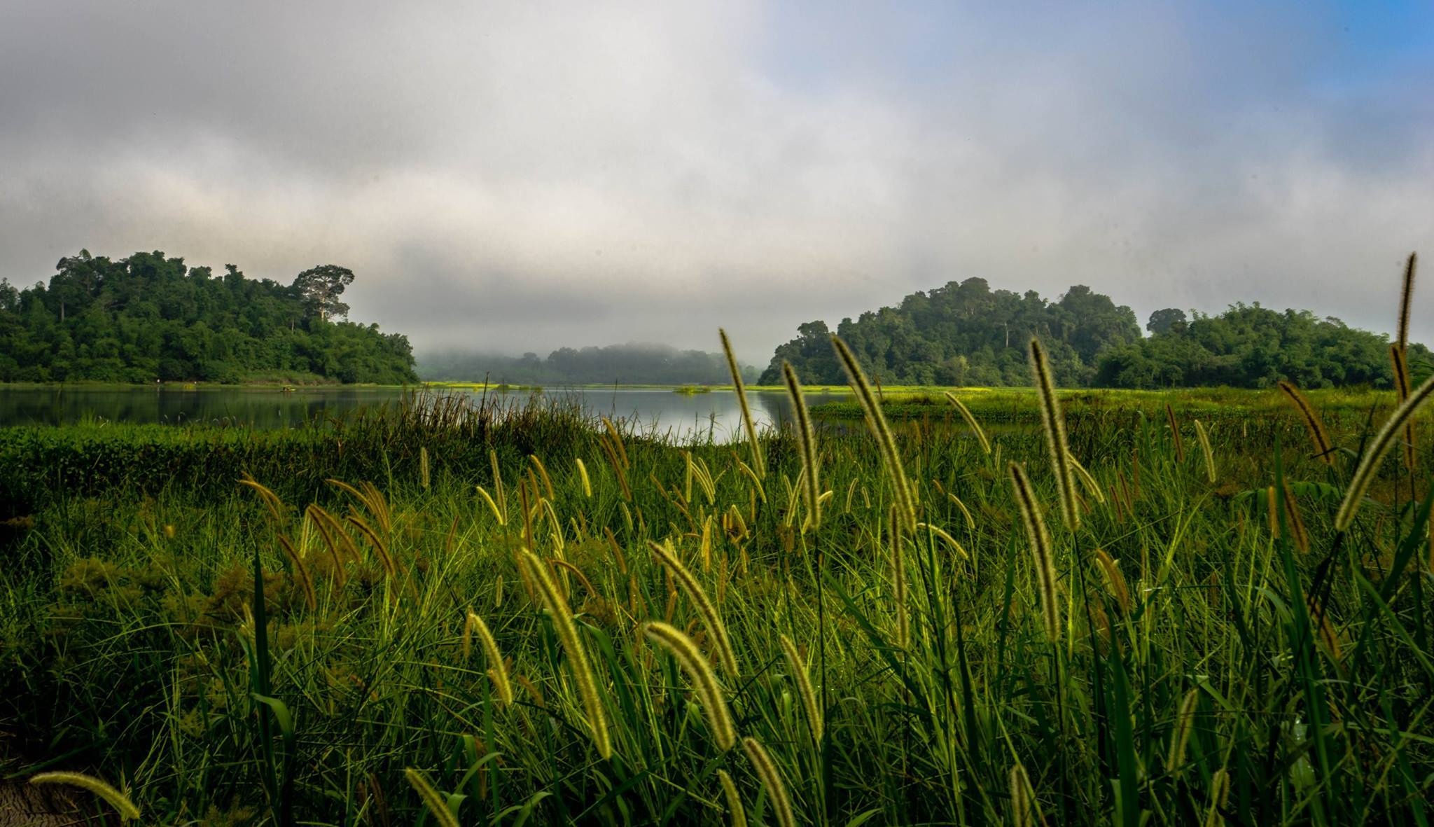 Bàu Sấu với những góc ảnh đẹp và lãng mạn qua cảm xúc của nhiếp ảnh gia. Hình ảnh lấy cỏ lau làm tiền cảnh để thể hiện vẻ lãng mạn cũng như yên ả của Bàu Sấu.