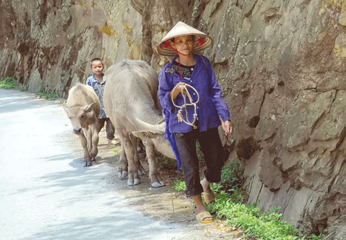 Sinh hoạt của người dân địa phương.