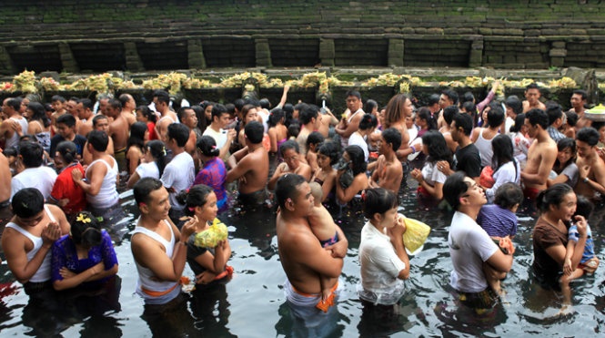 Bình thản xếp hàng và trầm mình trong làn nước.