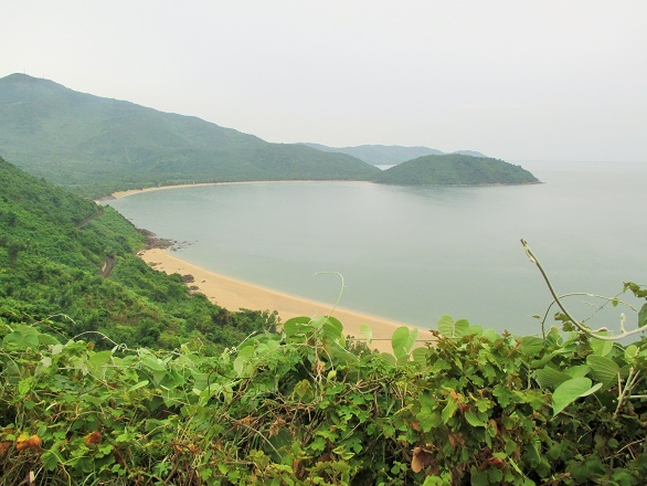 Nếu bạn du lịch 3 - 4 ngày tại Đà Nẵng thì nên dành thời gian thuê xe máy để cùng trải nghiệm cảm giác cực