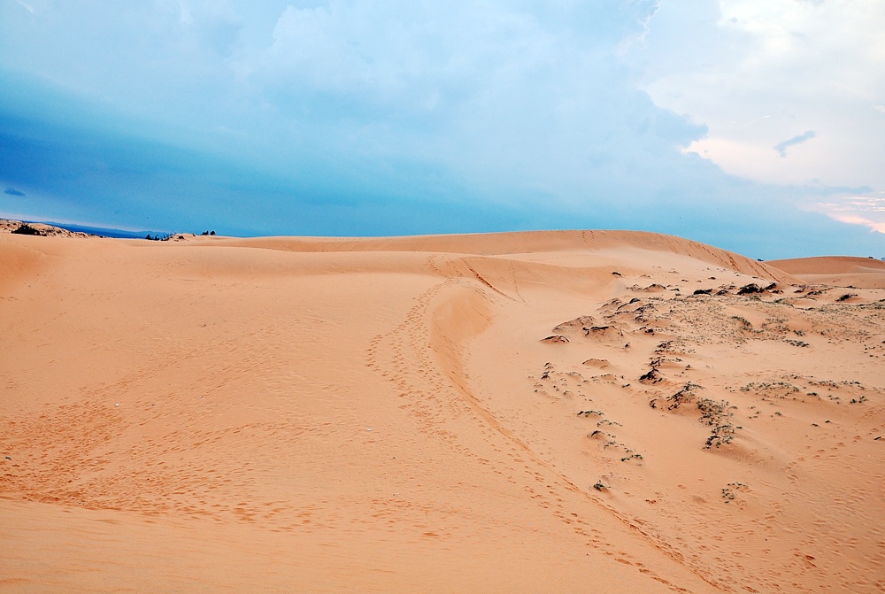 Một điểm dễ nhận thấy đó là, dịch vụ trượt cát này chủ yếu do những người phụ nữ và trẻ em hướng dẫn. Mức giá cũng không cố định, dao động từ 10.000 đến 50.000 đồng. Không khó để bắt gặp hình ảnh những em bé miền biển, khuôn mặt đen sạm vì nắng cháy tỏ ra rất thành thục hướng dẫn du khách cách ngồi trên tấm ván, lựa chọn những đường trượt ăn ý.