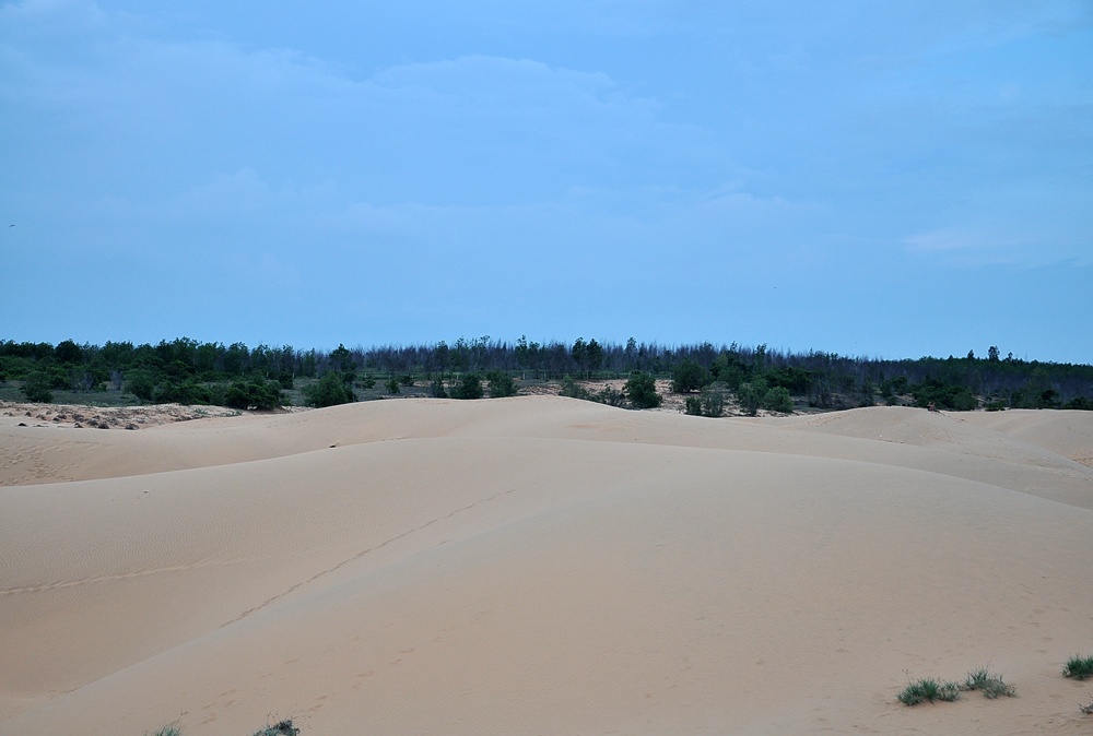 Sau một đêm, khi những cơn gió tràn qua đồi cát lại trở về khoảnh khắc hoang sơ như chưa có bóng chân người. 