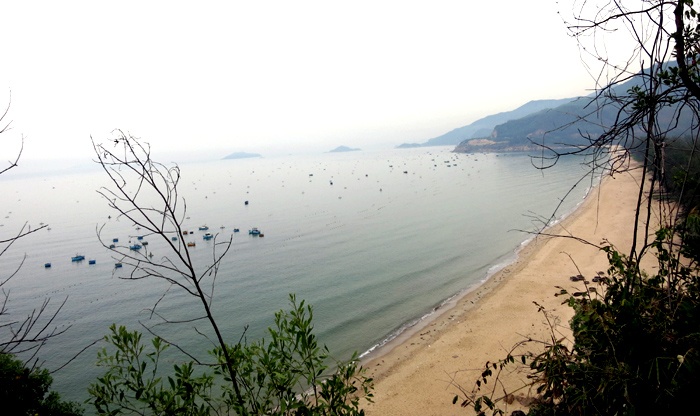 Bãi biển ở Quy Nhơn