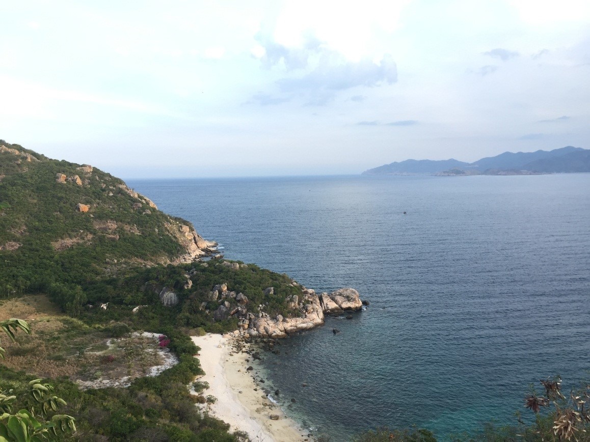 Hình chú rùa hướng đầu ra biển.