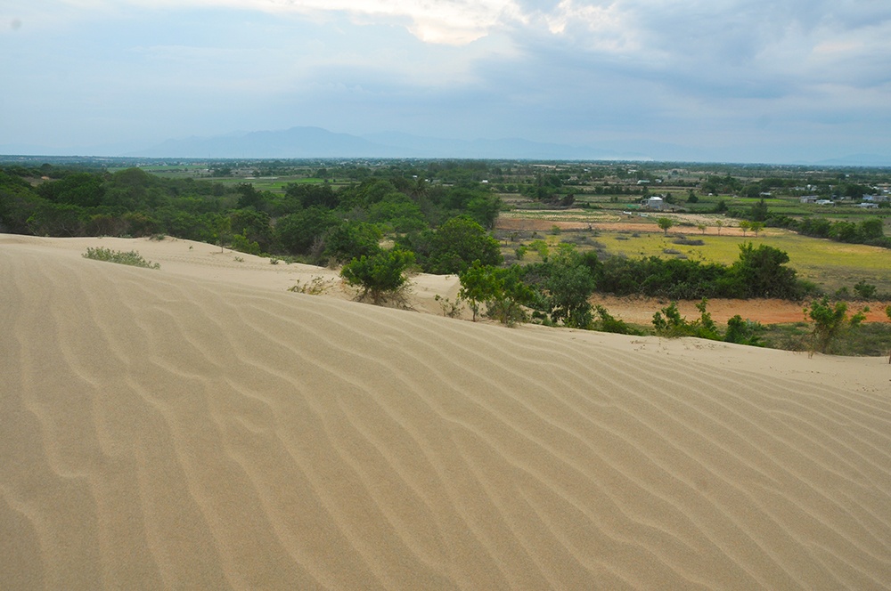 Bờ cát tạo thành một bức tường thành cao như đập nước với những đường vân chạy dài tít tắp đẹp như một bức tranh.