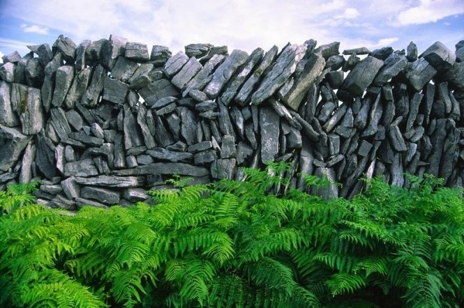 Một trong những nơi đẹp nhất để ngắm nhìn những mạng lưới rộng lớn các bức tường bằng đá là ở quần đảo Aran. Aran là một nhóm ba hòn đảo nằm ở cửa vịnh Galway, trên bờ biển phía tây Ireland. Đảo lớn nhất là Inishmore còn được gọi là Aranmore, thứ hai là Inishmaan và nhỏ nhất là Inisheer.