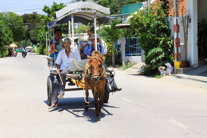 Kham pha ngoai o Nha Trang bang xe ngua hinh anh