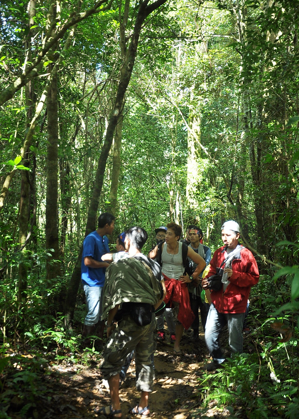 Từ chân núi Lang Biang lên đỉnh, trải qua 3 cung đường khác nhau. Đoạn đường đầu tiên được trải nhựa, hai bên là hàng thông rợp bóng khá dễ di chuyển. Cánh rừng thông trải dài bạt ngàn đến tận chân núi, vi vu những tiếng gió reo. 