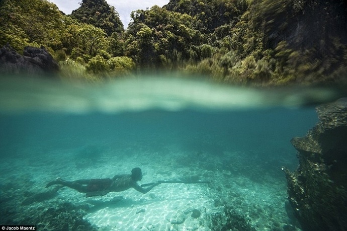 Lặn hàng mét dưới nước để săn cá.