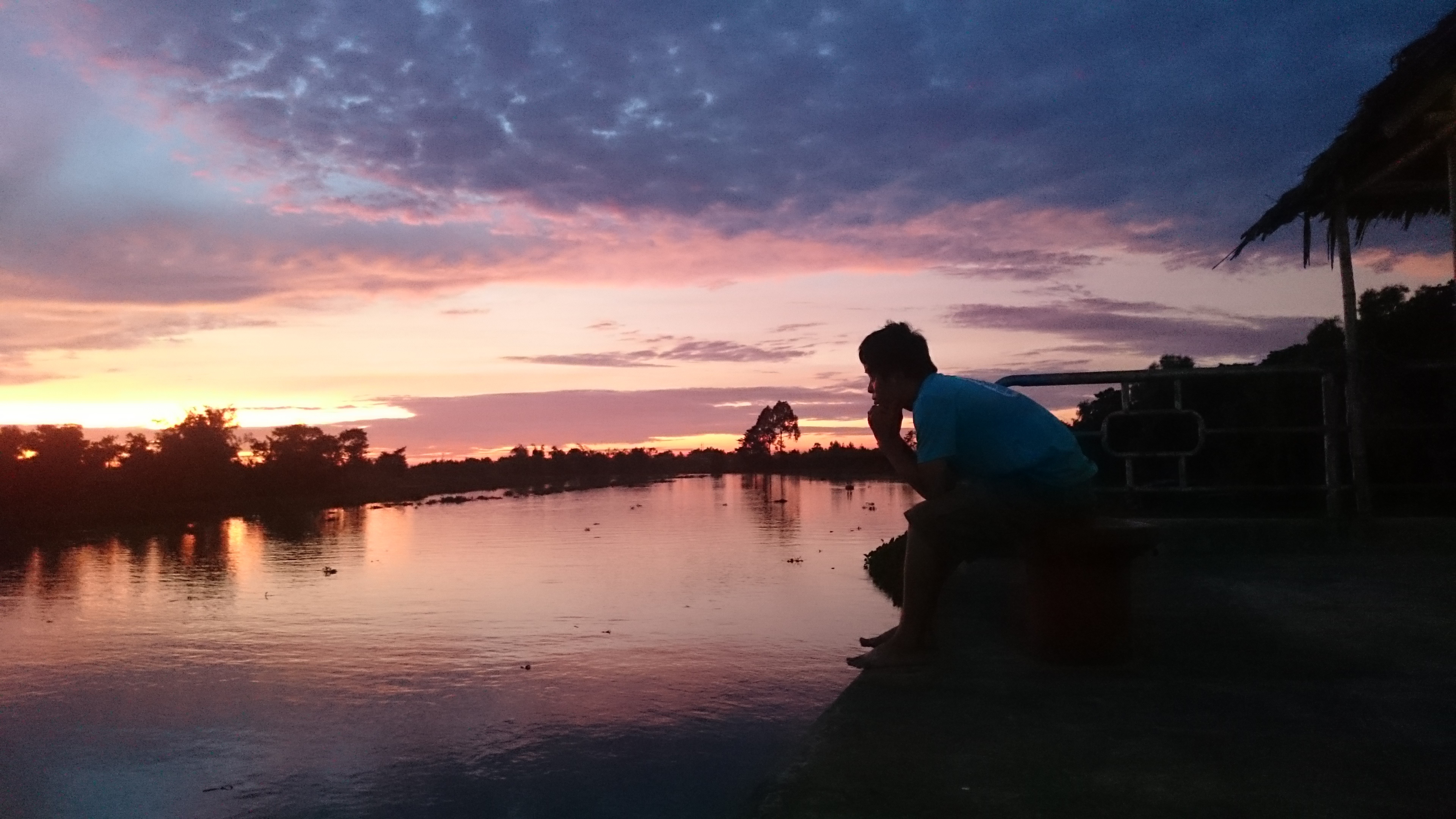 Bình minh trên rừng tràm Tân Lập, Long An. Ảnh: VinhChu.