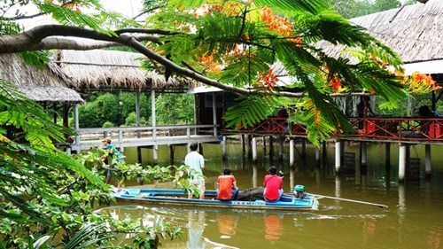 Ve Ca Mau ngu nha khong cua hinh anh