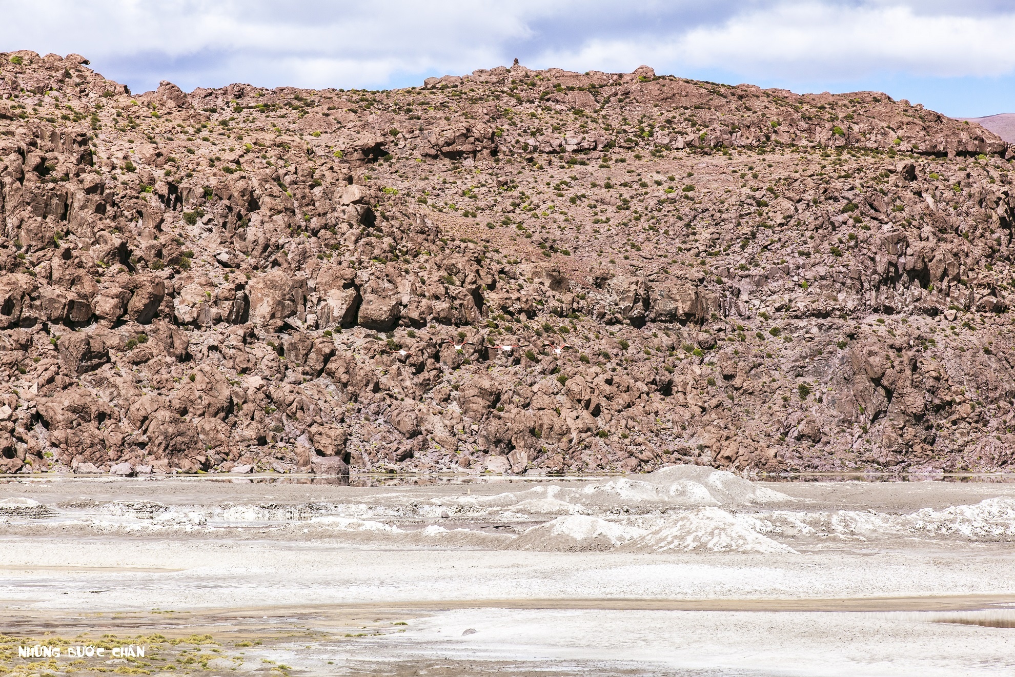 Du khách sẽ không ít lần chiêm ngưỡng từng đàn hồng hạc bay liệng trên không phía dưới là những đảo muối borac mấp mô làm cho cảnh sắc nơi đây thêm phần sống động.