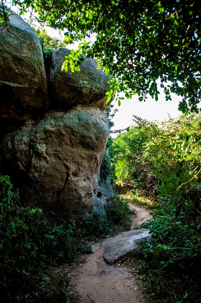 Còn cách ngọn hải đăng hơn 200m, bạn sẽ thấy được một tấm bảng chỉ bạn ra tới cực đông tổ quốc, tại nơi đây có một tấm bia để ghi dấu điểm xa nhất của đất nước. Đoạn đường vào đây không còn được làm từ những bậc thang nữa mà là con đường núi. Ảnh: Dương Trọng Tuấn.