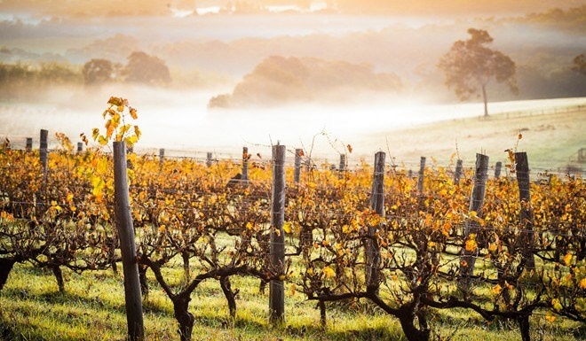 Từ Perth tới Albany (Australia): Tuyến đường tuyệt đẹp này đi qua nhiều vùng biển xanh biếc, khu trồng rượu nho và các điểm tham quan lịch sử.