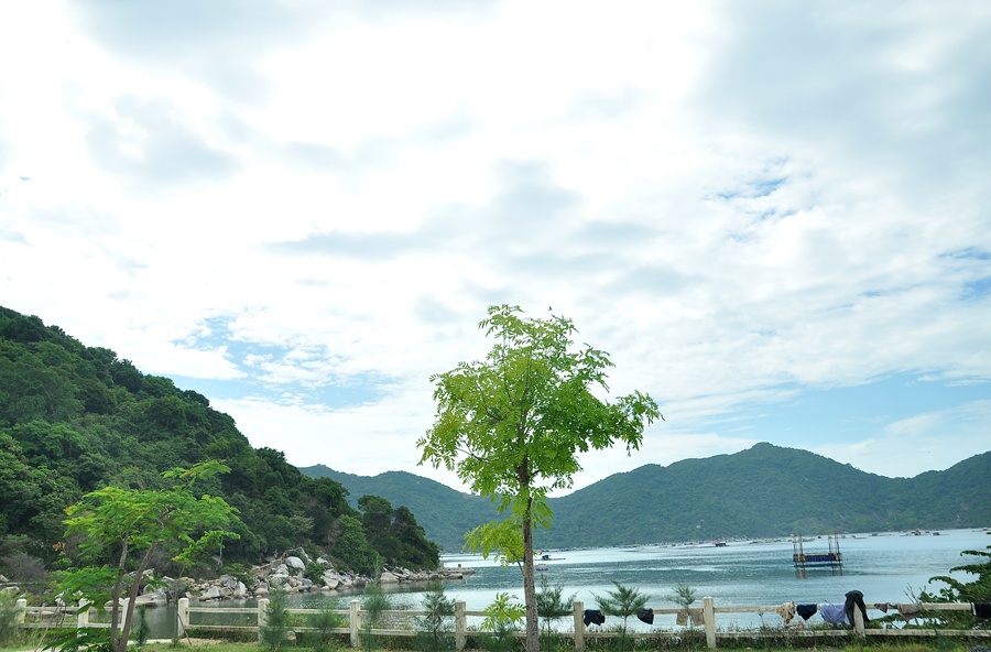 Toàn bộ cảnh sắc thiên nhiên nơi đây tạo nên một quần thể các điểm thăm quan vô cùng lý thú. Ngoài ra, bạn có thể thử sức leo lên núi Đá Bia ngay gần đó, một trong những địa điểm du lịch không thể bỏ qua khi đến với Phú Yên.