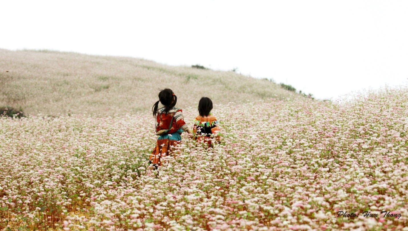 Bi kip du le hoi Hoa tam giac mach cua dan phuot hinh anh