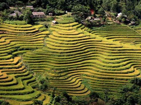 Den Ha Giang ngam ruong bac thang, du le hoi cung than rung hinh anh