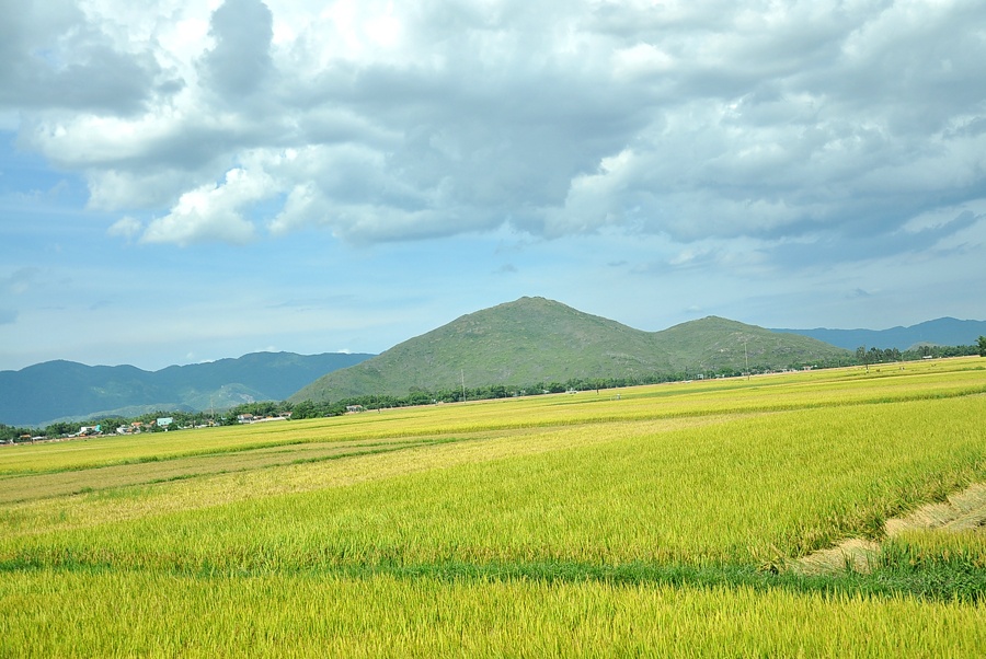 Cảnh đẹp mê hồn trên cung đường đi.