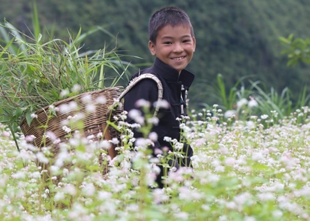 Ha Giang chuan bi cho le hoi hoa tam giac mach hinh anh