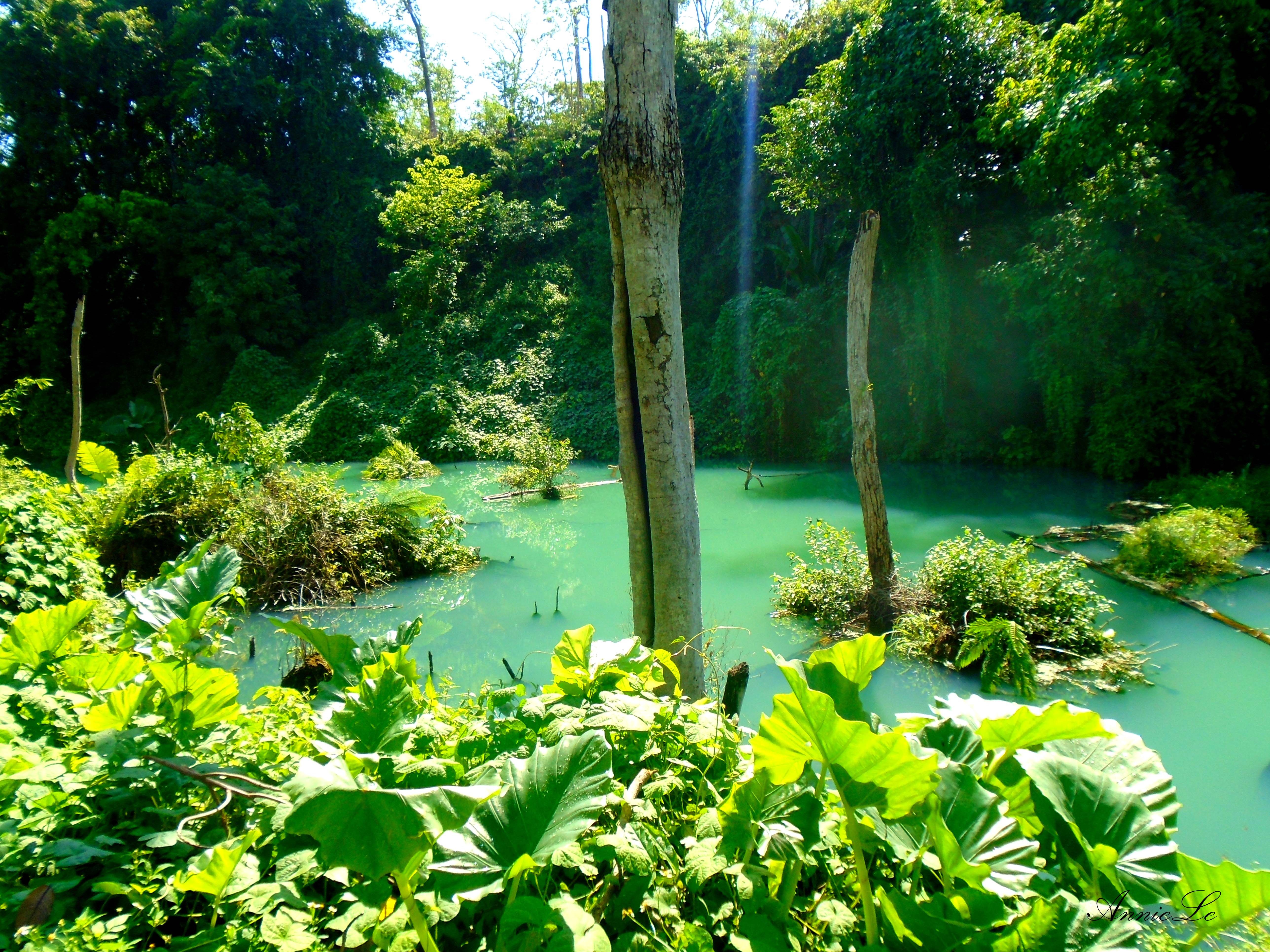 Trên đường đi, những hồ nước xanh ngọc bích khiến du khách không khỏi kinh ngạc.