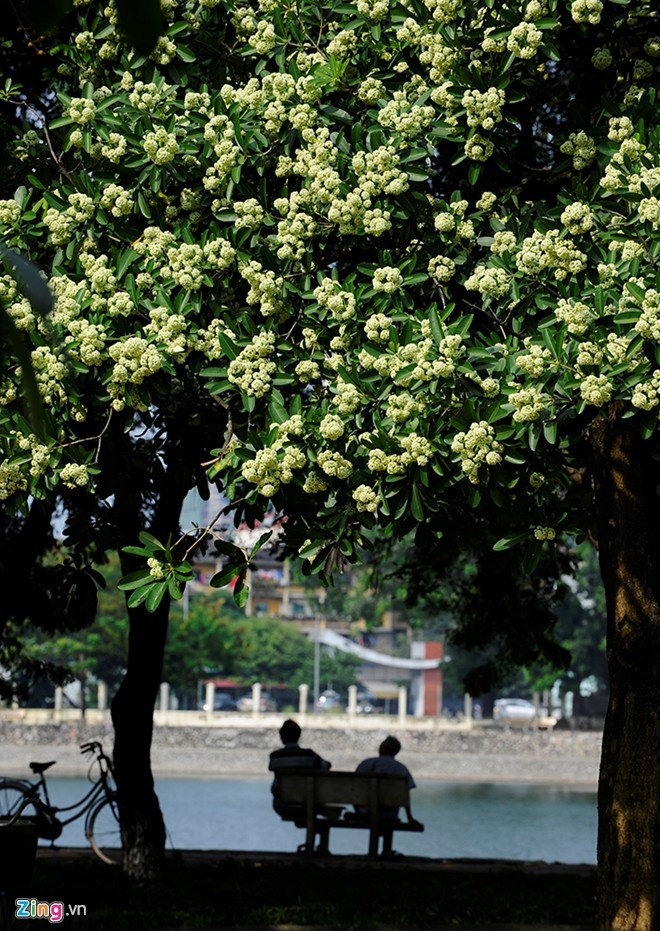 Phố Nguyễn Du (quận Hai Bà Trưng). Để đi tìm những câu hát