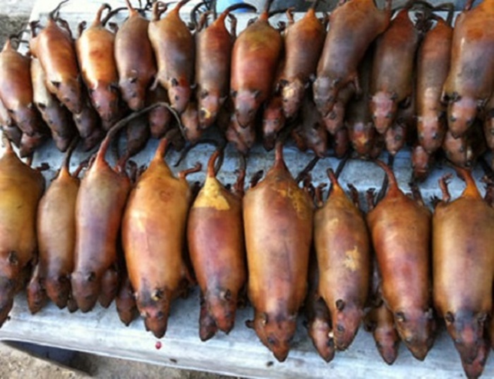 Thịt chuột La Chí món ăn thường ngày của người dân. Ảnh: Vtc.vn.