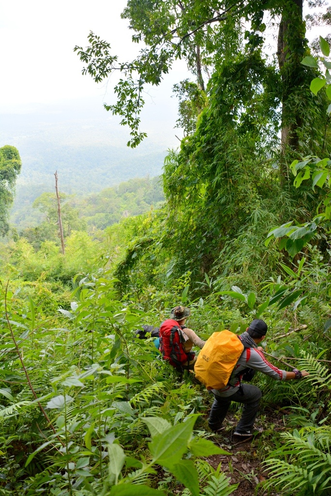 Thời gian leo xuống theo đường cũ chỉ mất 6 tiếng đồng hồ, chưa tính thời gian dừng nghỉ và dọn đồ tại trại 1,100m, vì đi xuống không mất nhiều sức như khi đi ngược lên.
