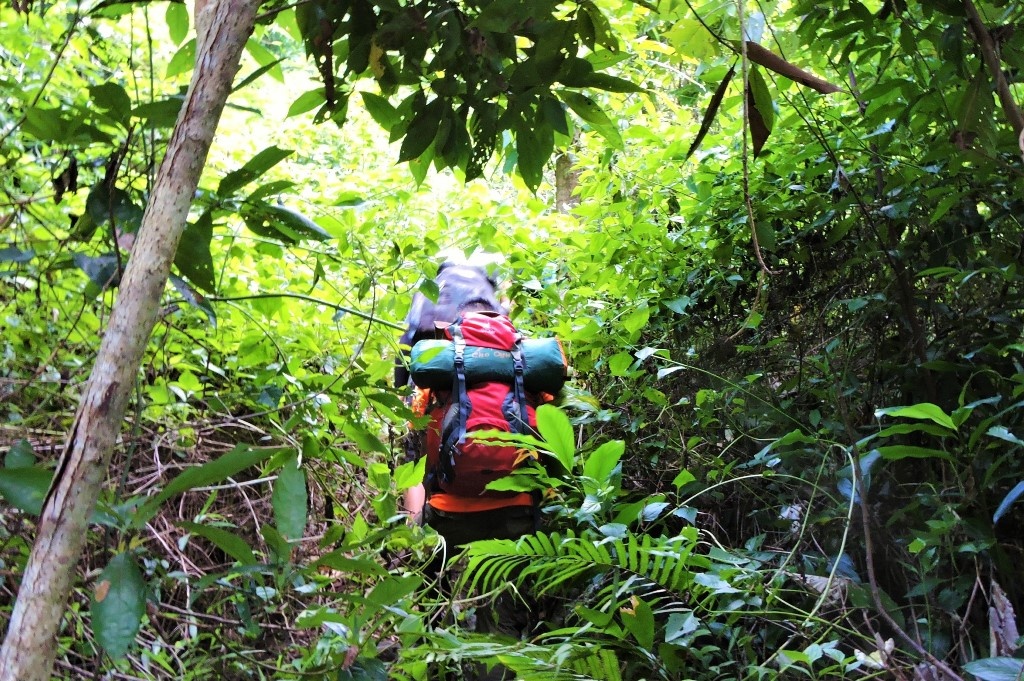 Sau khi lên đến độ cao 500m, đường bắt đầu trở nên rất dốc và tăng độ cao lên điểm 800m rất nhanh, đường đi cũng chằng chịt nhiều cây cối hơn.