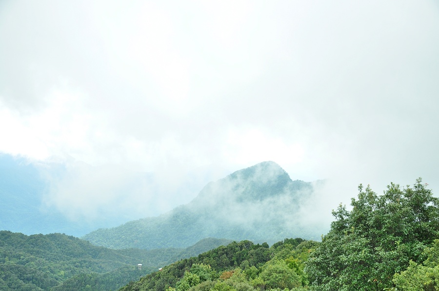 Trên Hải Vọng Đài có chiếc chuông đồng khá lớn. Khẽ cầu nguyện, rung ba hồi chuông ngỡ như bạn được gõ cửa nhà trời. Tiếng chuông ngân vang, vọng vào núi rừng tạo nên cảm giác thanh tịnh, rủ bỏ mọi lo toan, phiền muộn của cuộc sống. Đứng trên đài cao, bạn sẽ không muốn rời mắt khỏi cảnh đẹp, không muốn rời chân đi vì quá quyến luyến. 