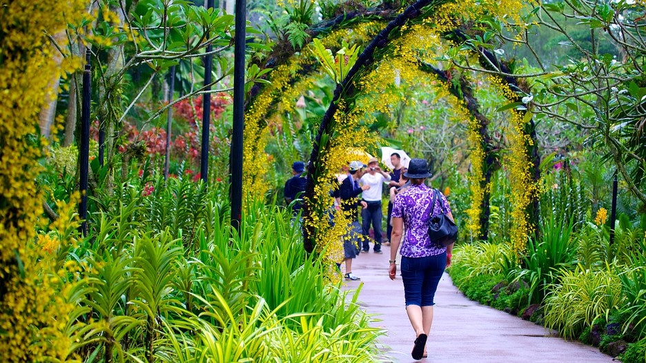 Vườn Lan Singapore. . Ảnh: Expedia.com.