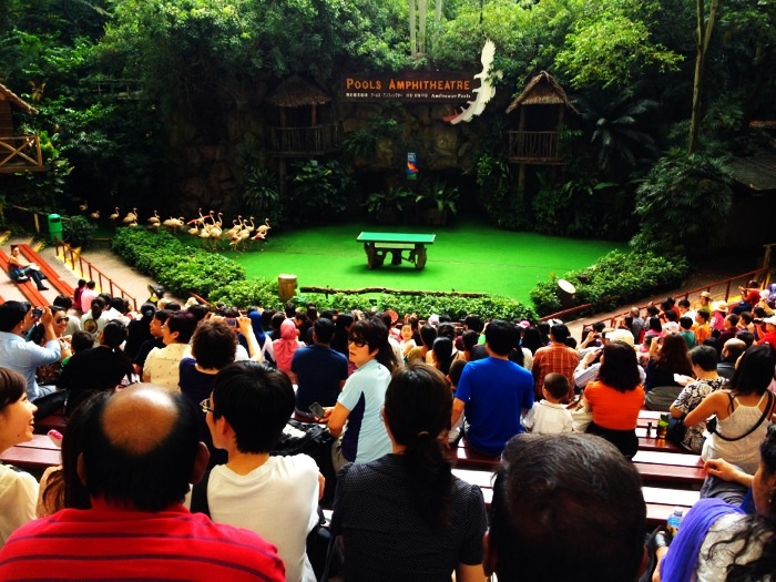 Ngày 5. Singapore: Buổi sáng bạn sẽ tới tham quan Vườn chim Jurong – công viên chim lớn nhất và ấn tượng nhất Châu Á với hơn 9000 cá thể từ 600 loài. Sau đó bạn sẽ tới tham quan xưởng sản xuất kim cương và cửa hàng dầu xanh. Ảnh: Jurong - Ghettosingapore.com