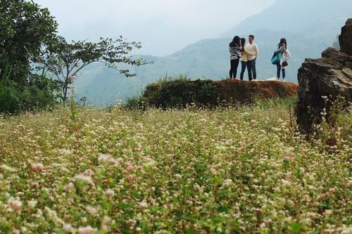Bạn sẽ được ăn món ăn dân tộc, ngủ nhà sàn, trò chuyện để hiểu thêm về lịch sử, văn hóa đồng bào dân tộc thiểu số vùng cao Tây Bắc. Đang là mùa tam giác mạch, nên tại các bản làng, người dân có những thửa ruộng tam giác mạch nhỏ để phục vụ sở thích chụp ảnh của du khách.