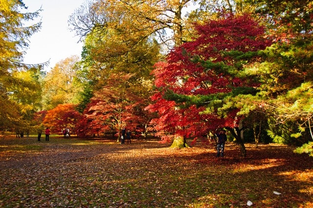 5 diem den ly tuong mua thu hinh anh