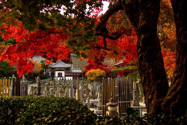 Nhật Bản: Trong tiếng Nhật, từ 