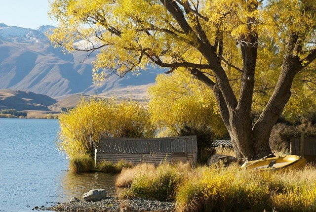 South Island, New Zealand: Mùa Thu ở đây đến muộn hơn một chút nhưng phong cảnh tuyệt đẹp nơi đây đáng để bạn chờ đợi đến giữa tháng 4 hàng năm. Khi đó, cây cối chuyển màu vàng rực rỡ bên những dòng sông và bờ biển tạo nên quang cảnh thật đáng ngưỡng mộ.