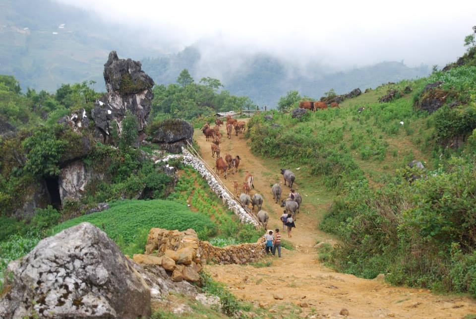 Cuộc sống của một buôn làng nhỏ ở Sapa hiện lên mờ ảo trong làn sương khói đẹp như một bức tranh sống động.