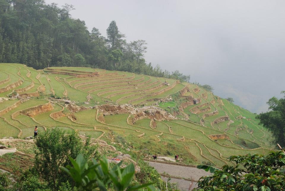 Hình ảnh ruộng bậc thang ở Sapa luôn mê hoặc lòng người vào những mùa lúa chín hay khi có tuyết rơi trong những ngày đông giá rét.